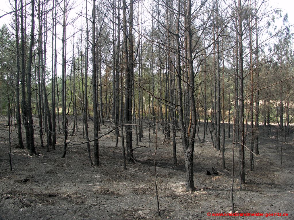 Waldbrandsaison 2012 ist eröffnet